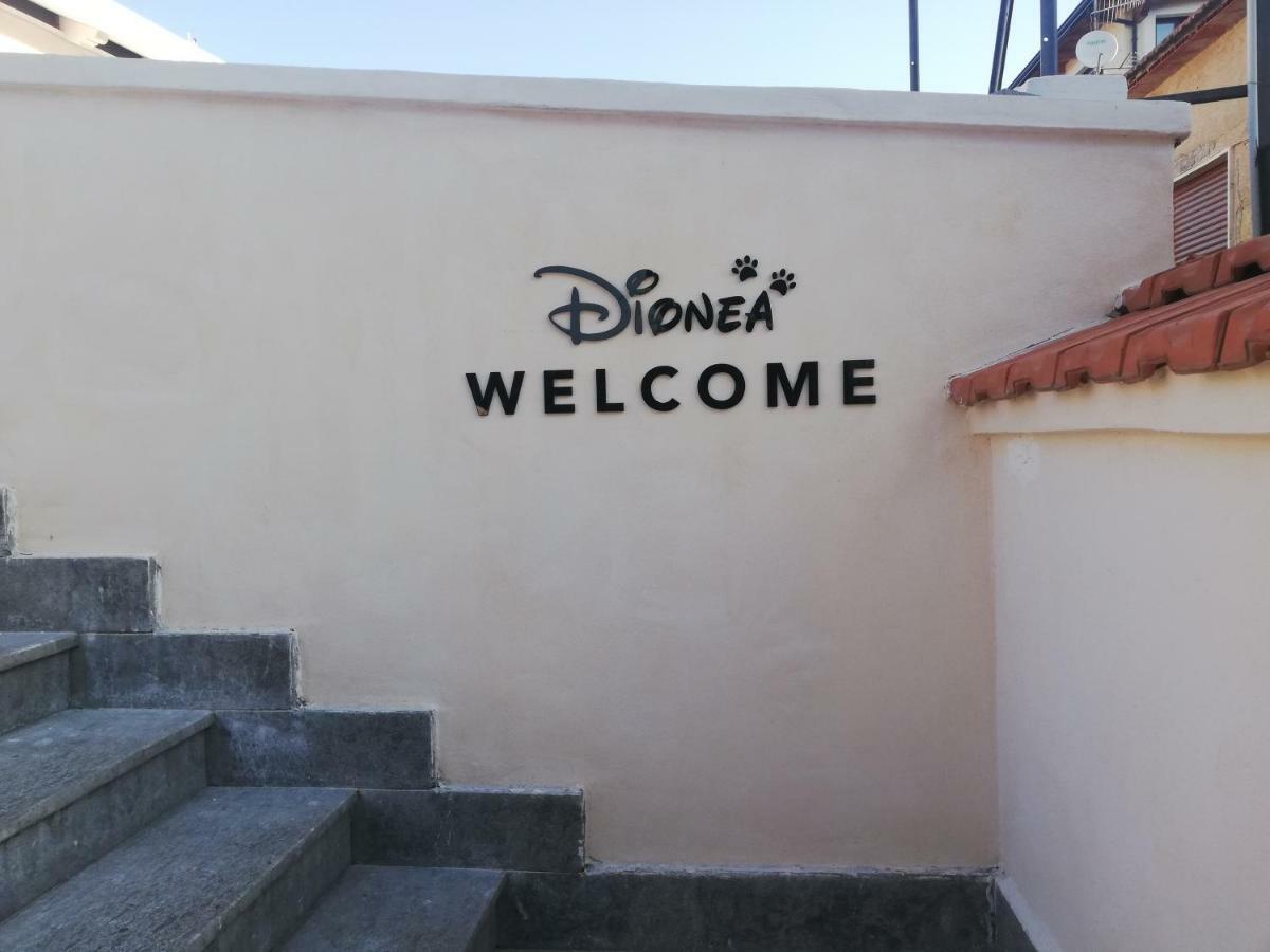 B&B Dionea Santa Maria di Castellabate Exterior foto